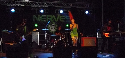 NERVES